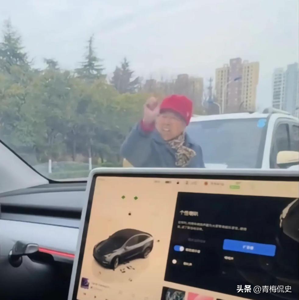 大爷开老头乐逆行，遭特斯拉车主魔法攻击，众人吃瓜，结局很舒适(图4)