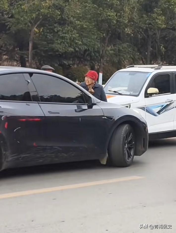 大爷开老头乐逆行，遭特斯拉车主魔法攻击，众人吃瓜，结局很舒适(图7)