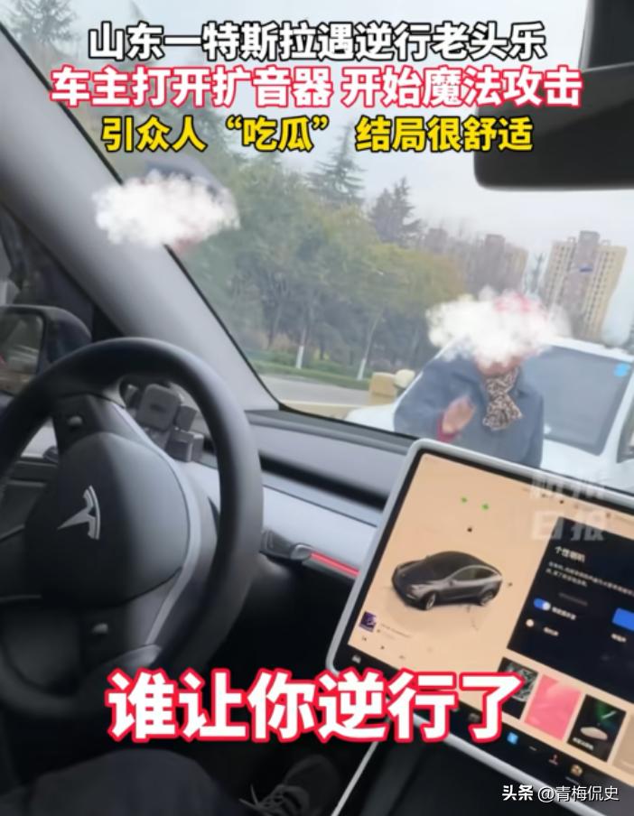 大爷开老头乐逆行，遭特斯拉车主魔法攻击，众人吃瓜，结局很舒适(图6)