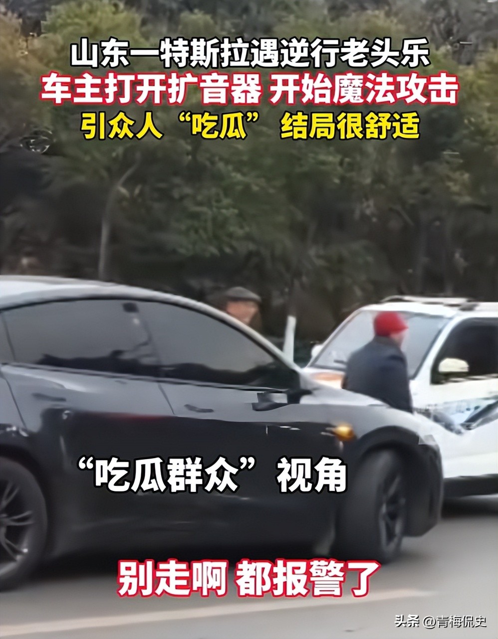 大爷开老头乐逆行，遭特斯拉车主魔法攻击，众人吃瓜，结局很舒适(图17)