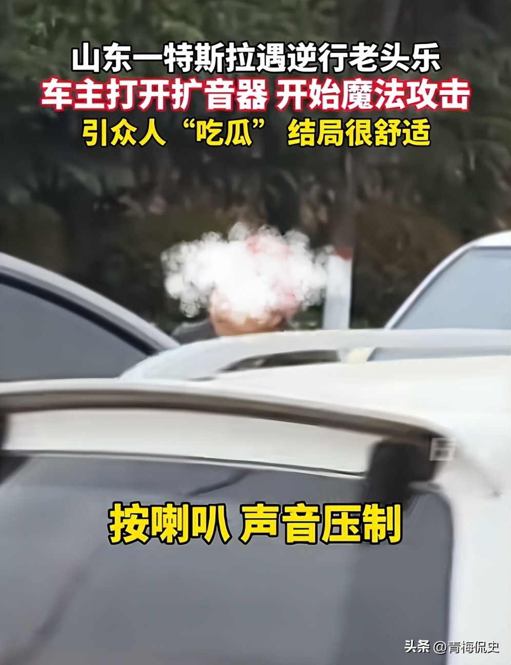 大爷开老头乐逆行，遭特斯拉车主魔法攻击，众人吃瓜，结局很舒适(图18)