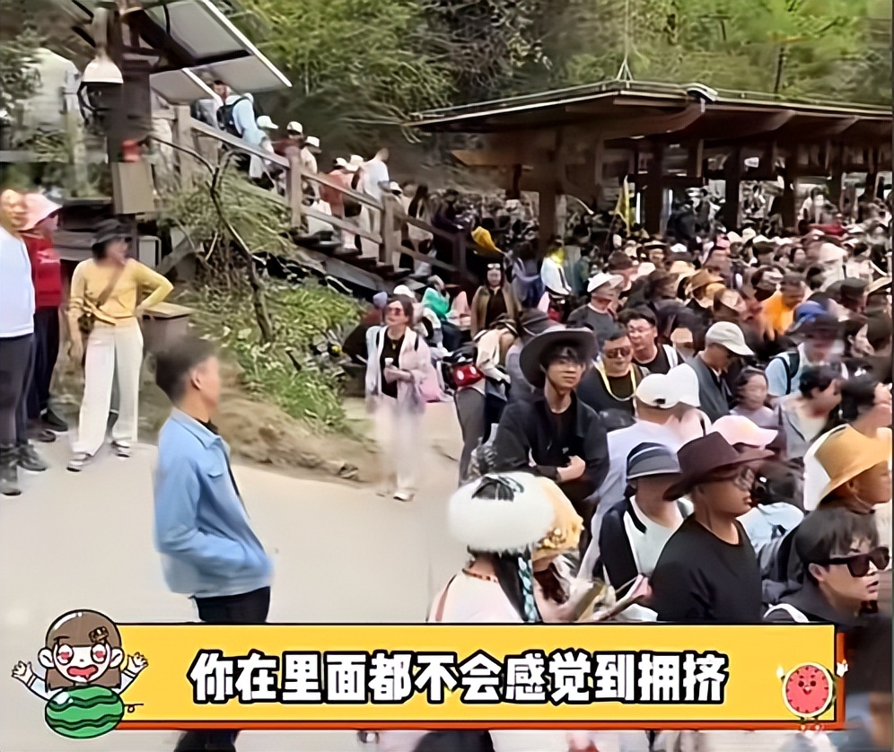 五一热门旅游城市排名：北京209亿垫底，四川235亿第二，榜一是谁(图17)