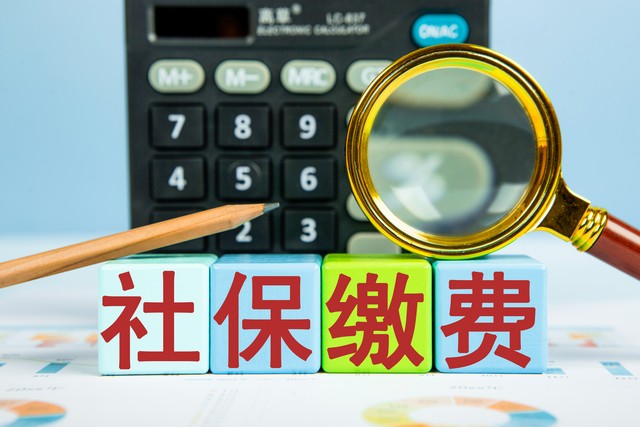 人社局定调！2025年起，城乡居民养老一次性补缴政策将被叫停？(图2)