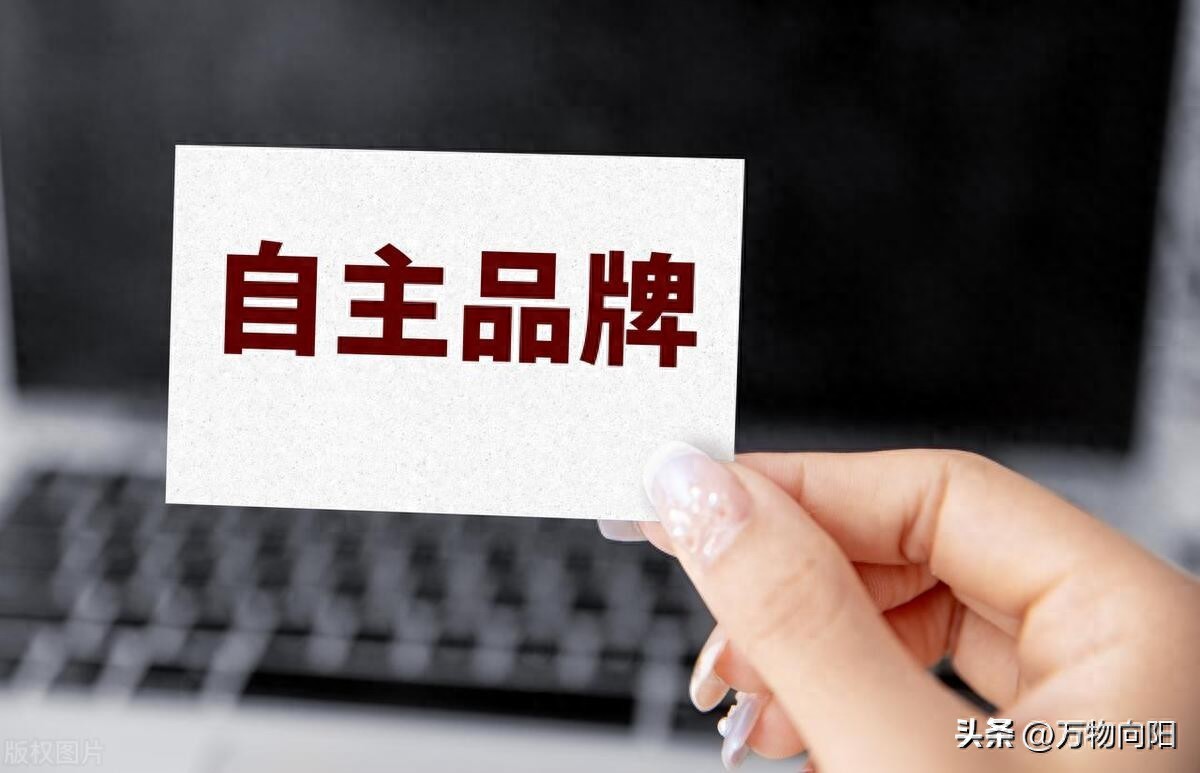 自创品牌的路径与技巧：如何在市场中创建属于自己的品牌？(图1)