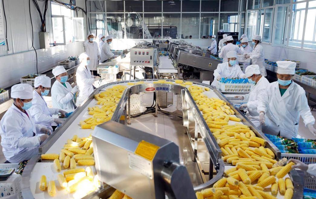关税战引发饲料疯涨？玉米冲破2300元，养殖户哭诉：猪没卖就赔了(图7)