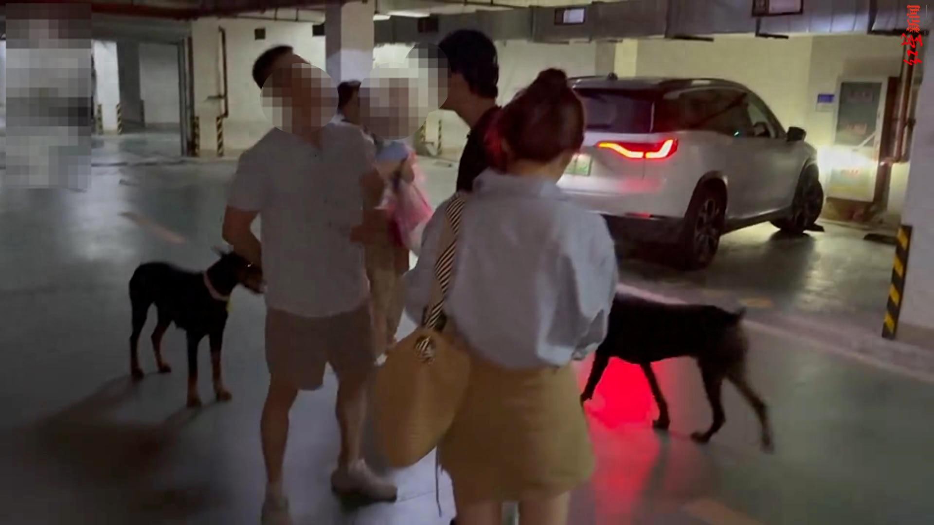丹阳烈犬扑童后续:受害者全家遭威胁，女子身份不简单，难怪嚣张(图1)