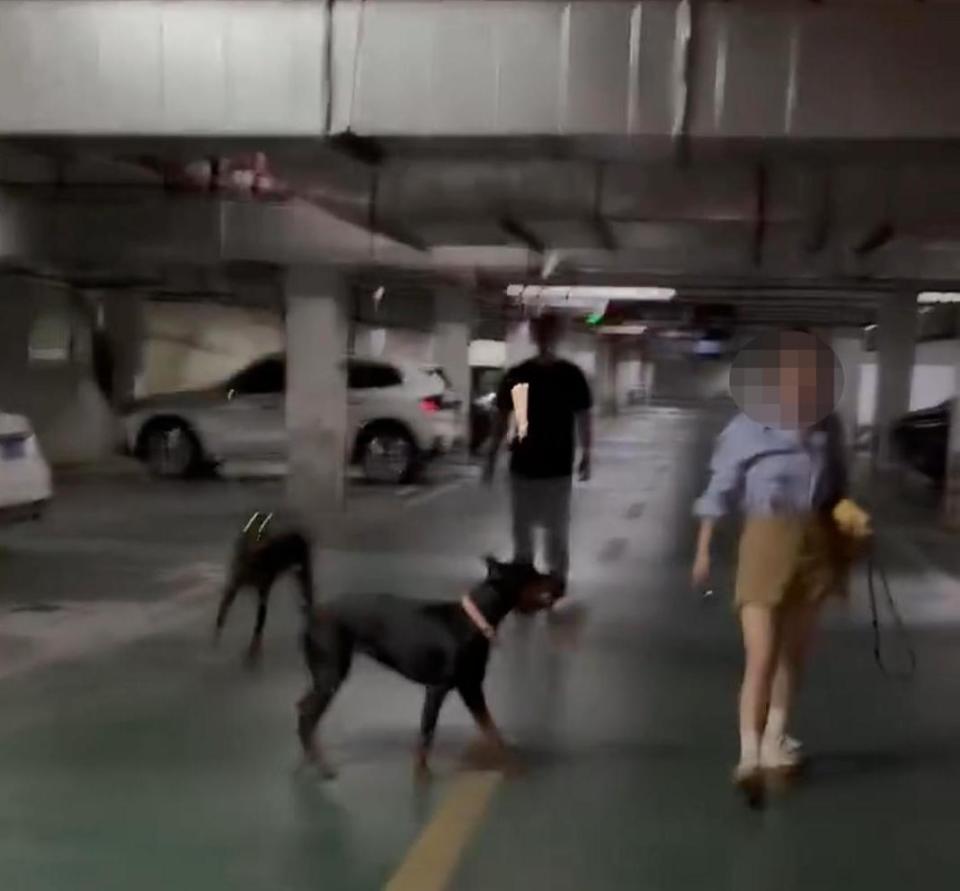丹阳烈犬扑童后续:受害者全家遭威胁，女子身份不简单，难怪嚣张(图4)