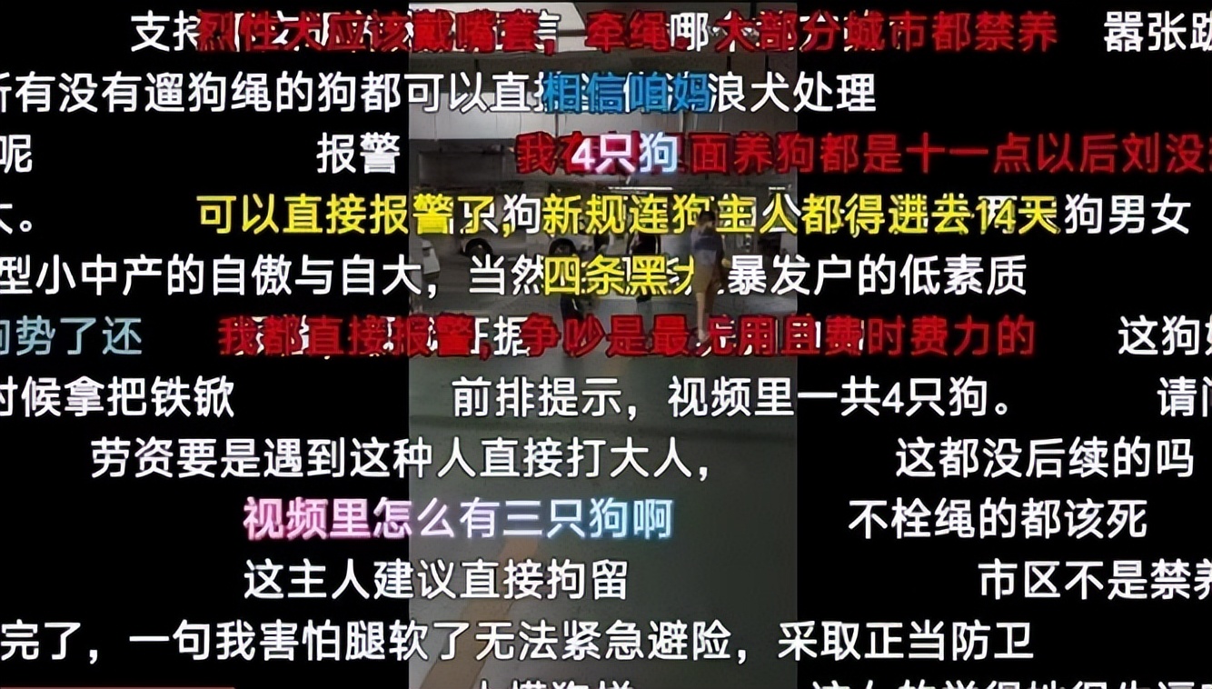 丹阳烈犬扑童后续:受害者全家遭威胁，女子身份不简单，难怪嚣张(图8)