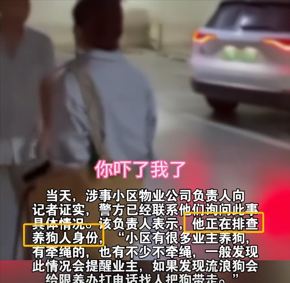 丹阳烈犬扑童后续:受害者全家遭威胁，女子身份不简单，难怪嚣张(图10)
