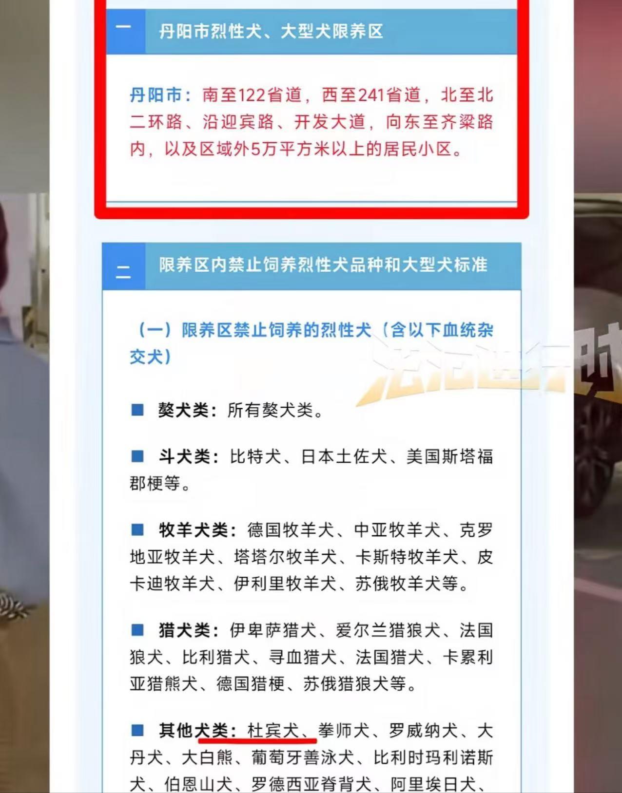 丹阳烈犬扑童后续:受害者全家遭威胁，女子身份不简单，难怪嚣张(图12)