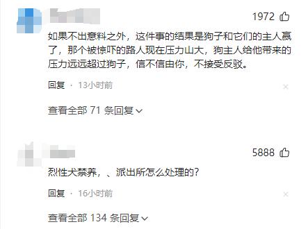 丹阳烈犬扑童后续:受害者全家遭威胁，女子身份不简单，难怪嚣张(图16)