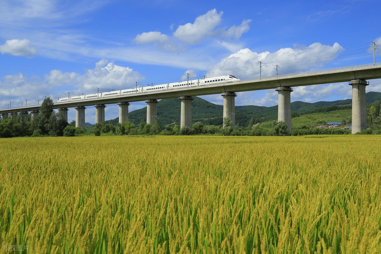 中国高铁为何不走平地，要花每公里1.74亿修高架？走桥有啥好处？(图9)