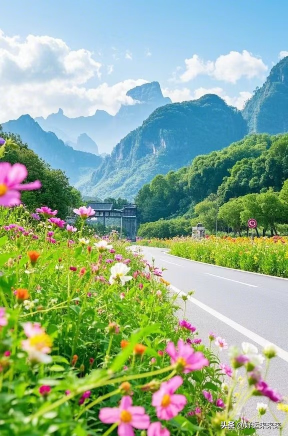存款多少才不慌？专家说“这个数”就够了！太多人还在焦虑……(图6)